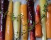 carottes de couleurs mélange 2 kgs