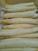 asperges blanches 1 kg